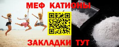 индика Дубна