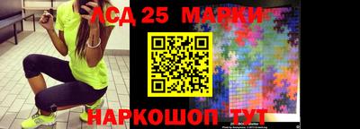индика Дубна