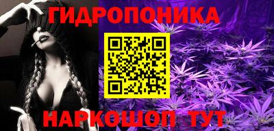 эйфоретик Донской