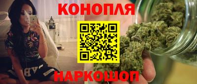индика Дубна