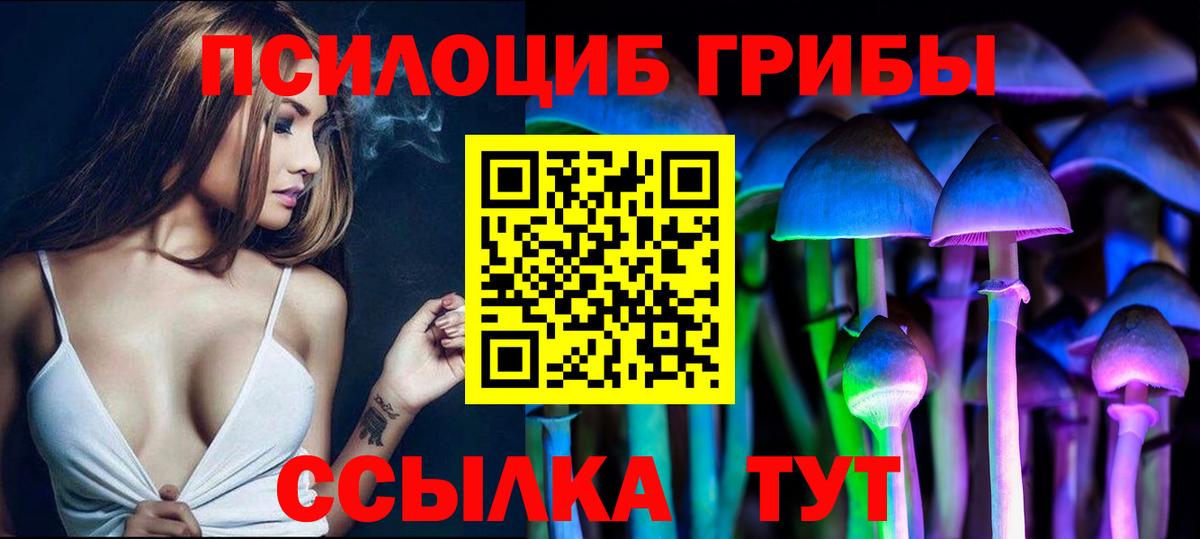 Мыски  Псилоцибиновые грибы MAGIC MUSHROOMS  Псилоцибиновые грибы Psilocybe  Вход с VPN 